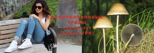 бошки Вяземский